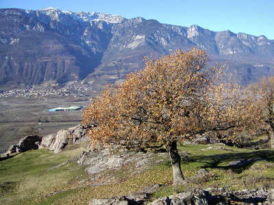 Etschtal / Valle dell'Adige with Tramin / Termeno