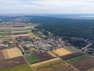 Sommerein and Leithagebirge