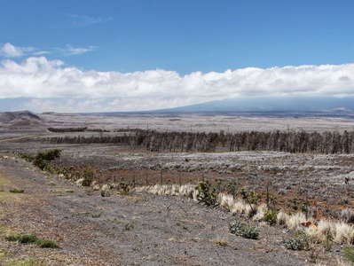 Highway 190 and Hualālai Volcano