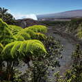 Hawai'i Volcanoes NP  |  Tree fern and Kīlauea Iki