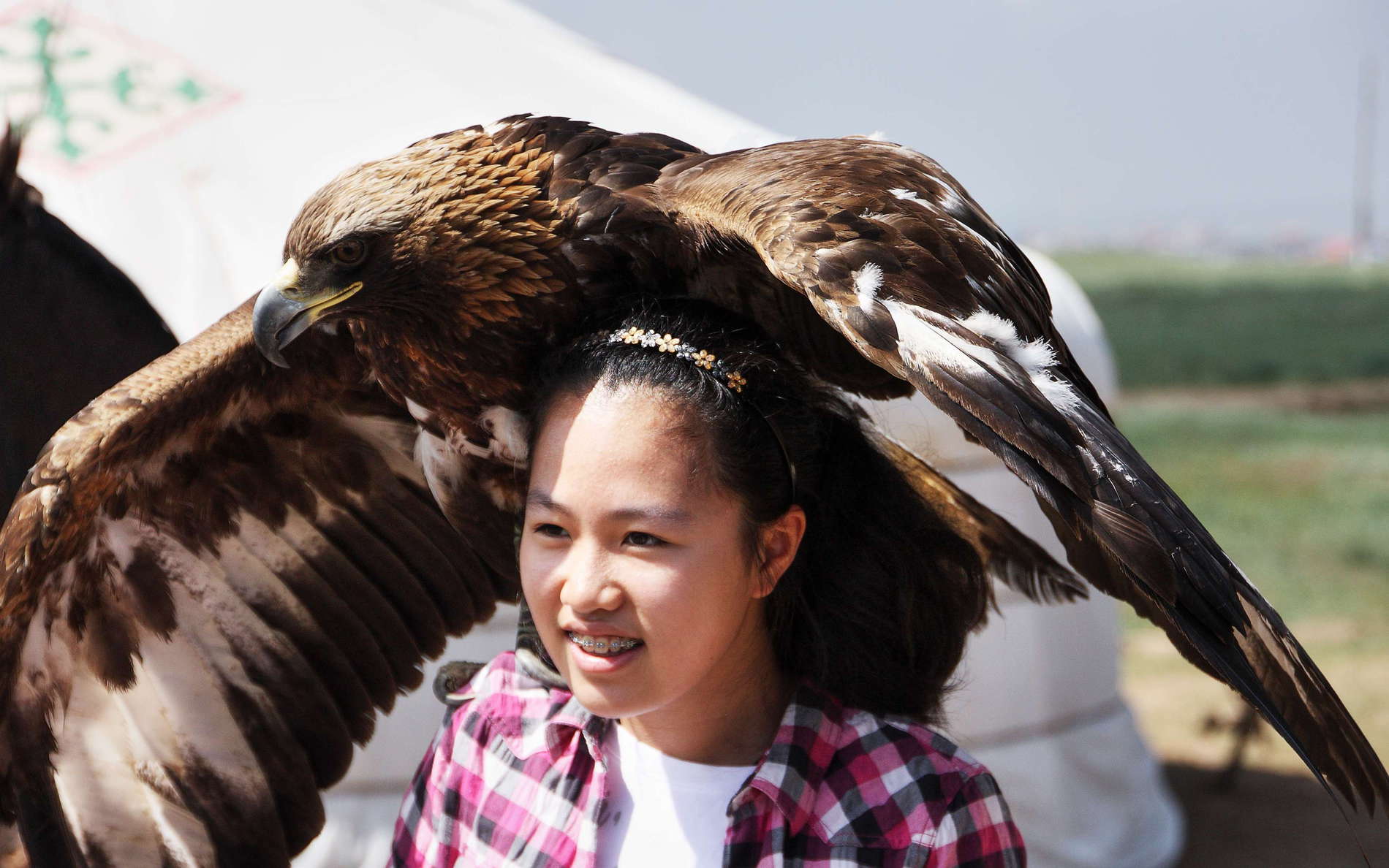 Nalaikh  |  Girl with eagle