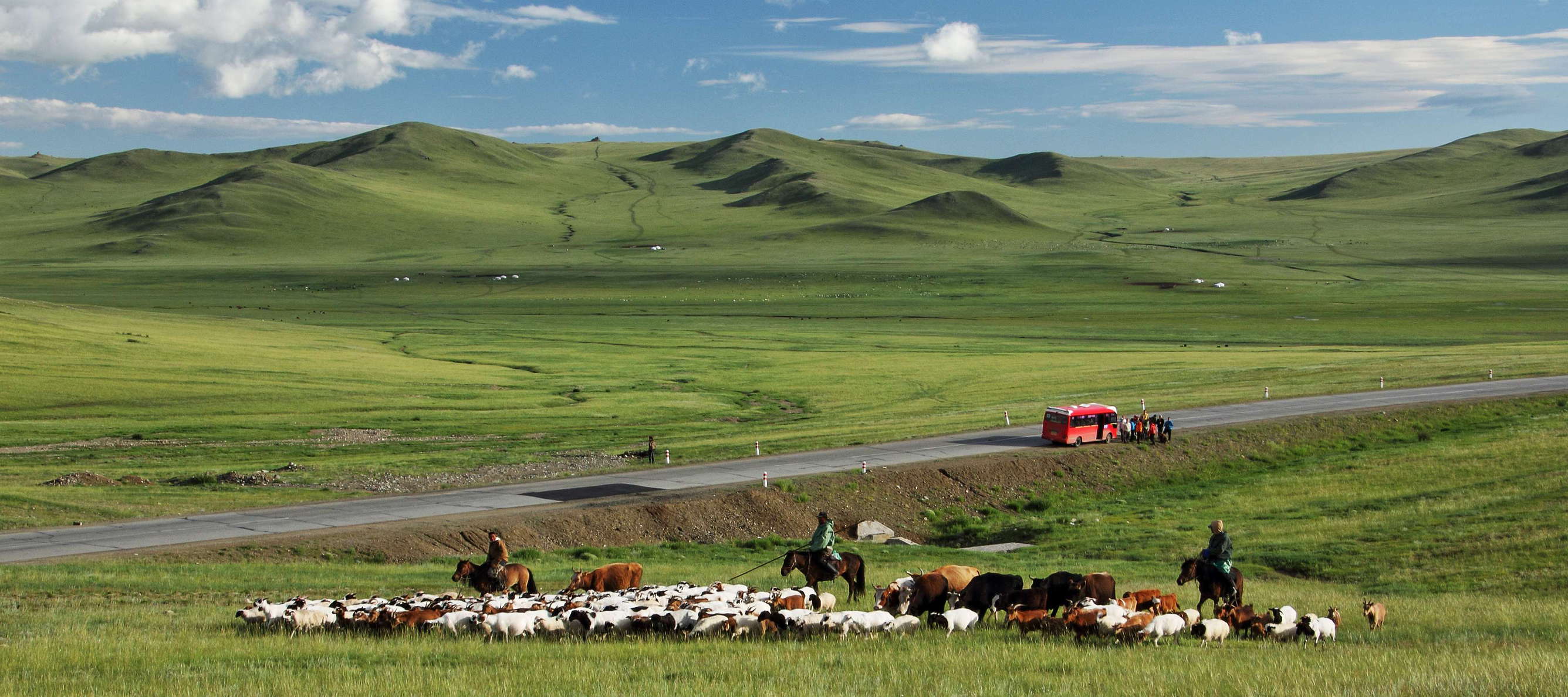 Erdene  |  Steppe with livestock and tourists
