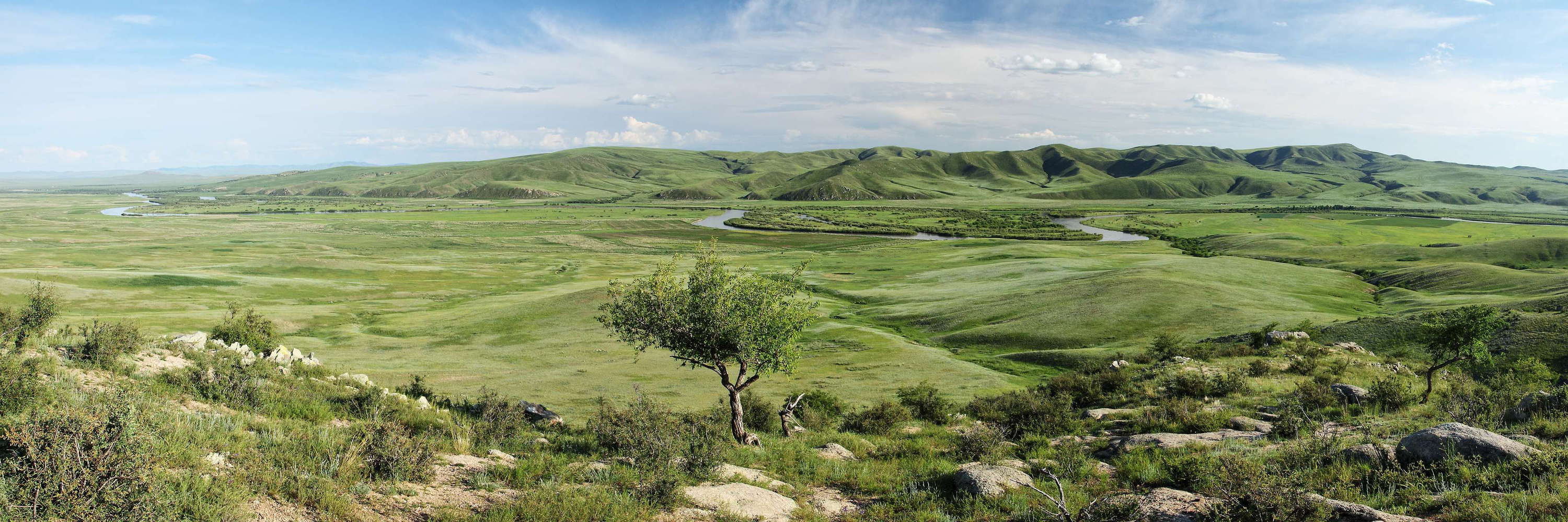 Orkhon Valley  |  Panorama
