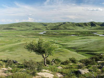 Orkhon Valley  |  Panorama