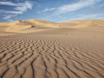 Khongoryn Els  |  Dune field