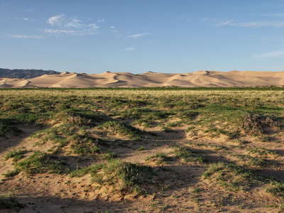 Khongoryn Els  |  Vegetated hummocks and dune field