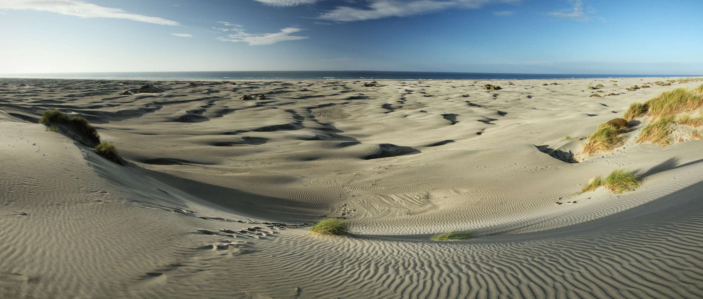 Farewell Spit  |  Dune field panorama
