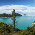 Abel Tasman NP  |  Adele Island Panorama