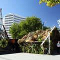 Christchurch  |  Cathedral Square