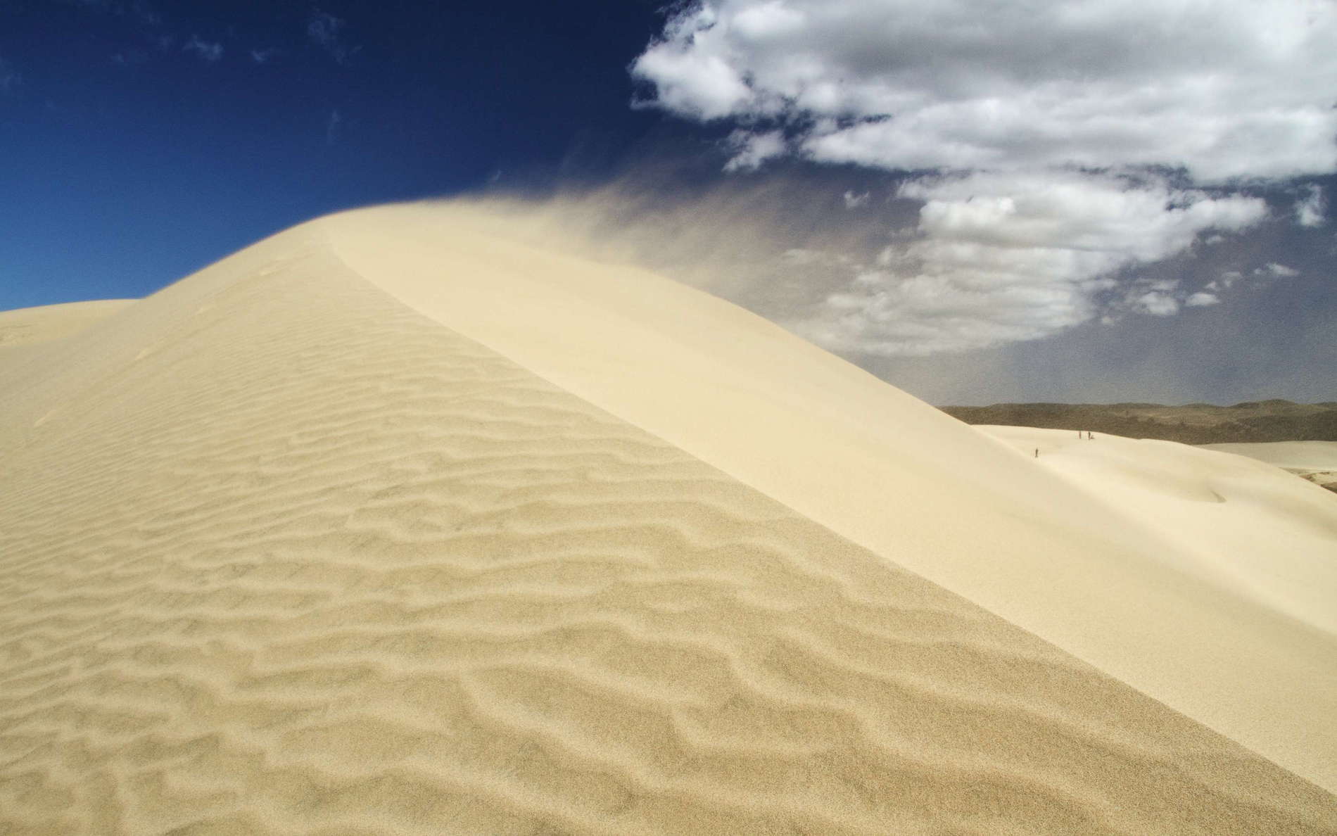 Te Paki  |  Wind in the dunes