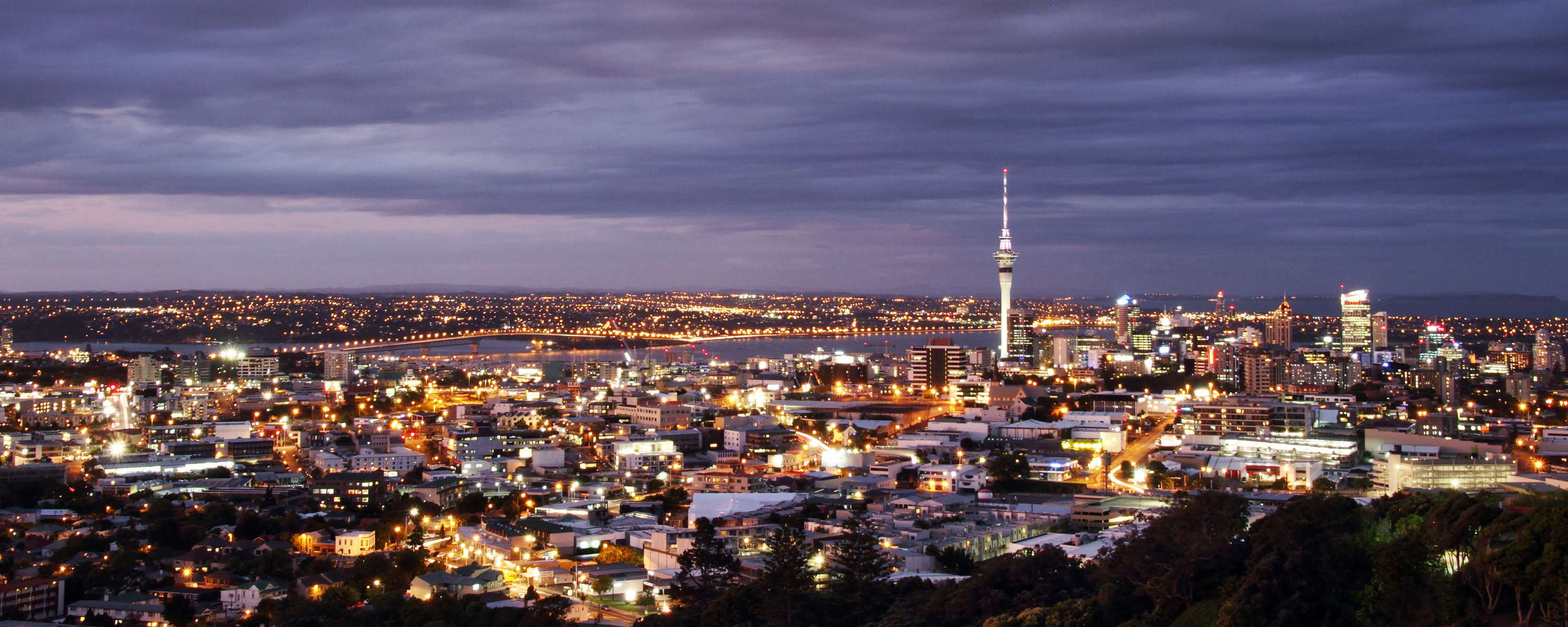 Auckland  |  Night panorama