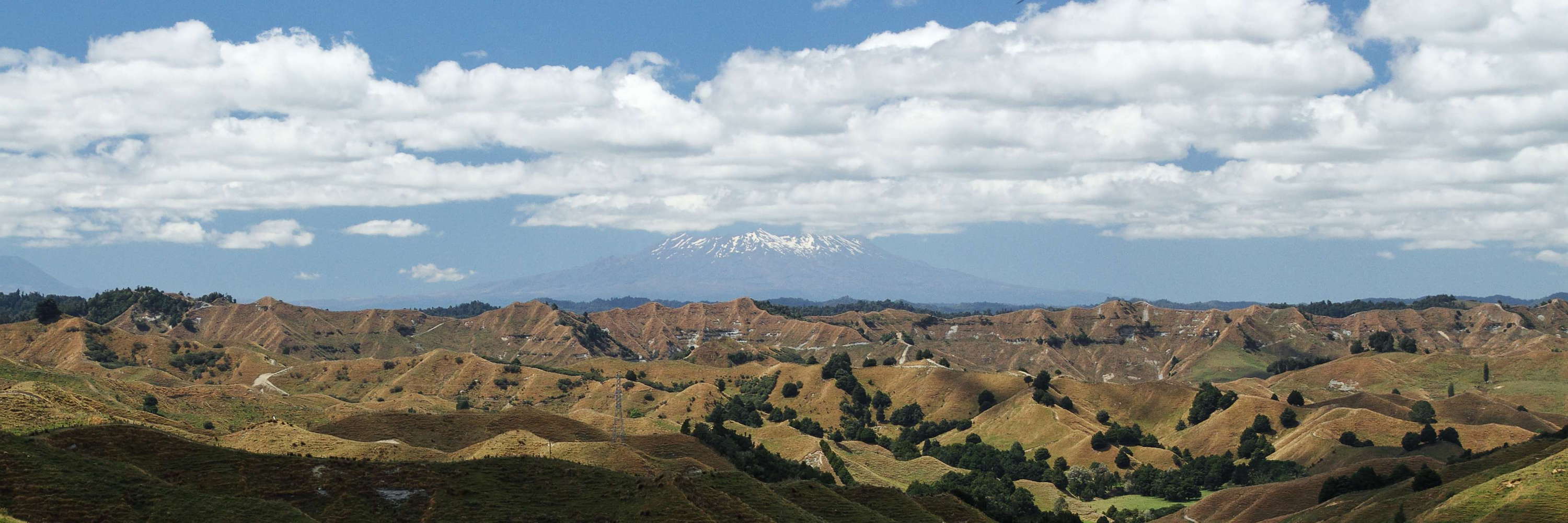 Forgotten World Highway  |  View to Mt. Ruapehu