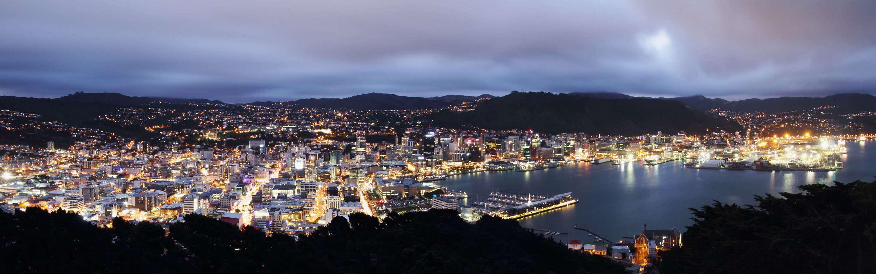 Wellington  |  Night panorama