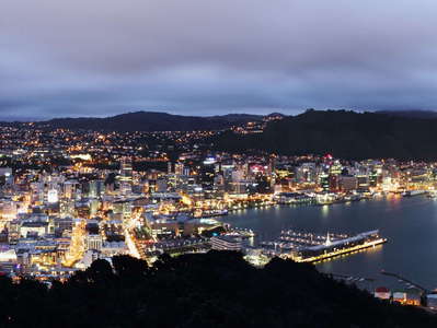 Wellington  |  Night panorama