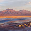 Salar de Atacama | Laguna de Chaxa at sunset