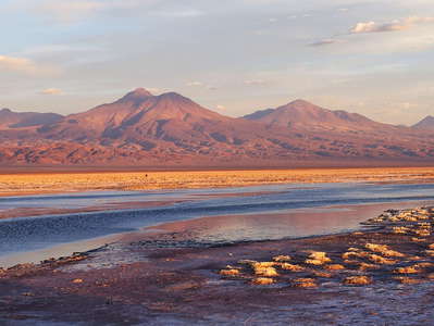 Salar de Atacama  |  Laguna de Chaxa at sunset