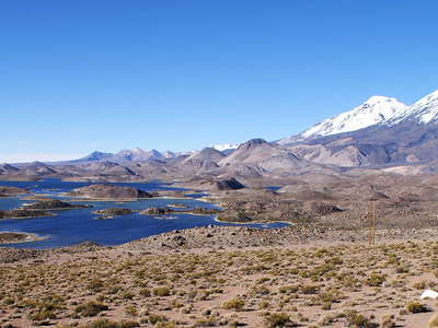 PN Lauca  |  Laguna de Cotacotani and Volcán Parinacota