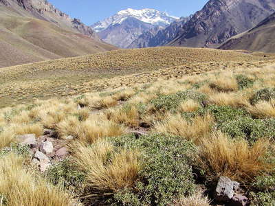 Horcones and Cerro Aconcagua
