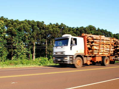 Misiones  |  Timber transport