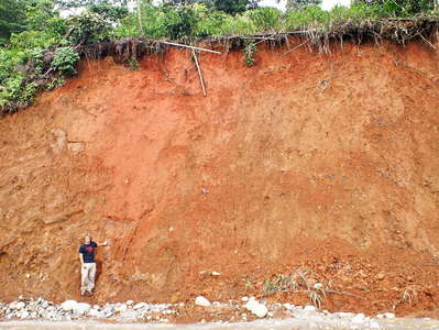 Tropical soil profile