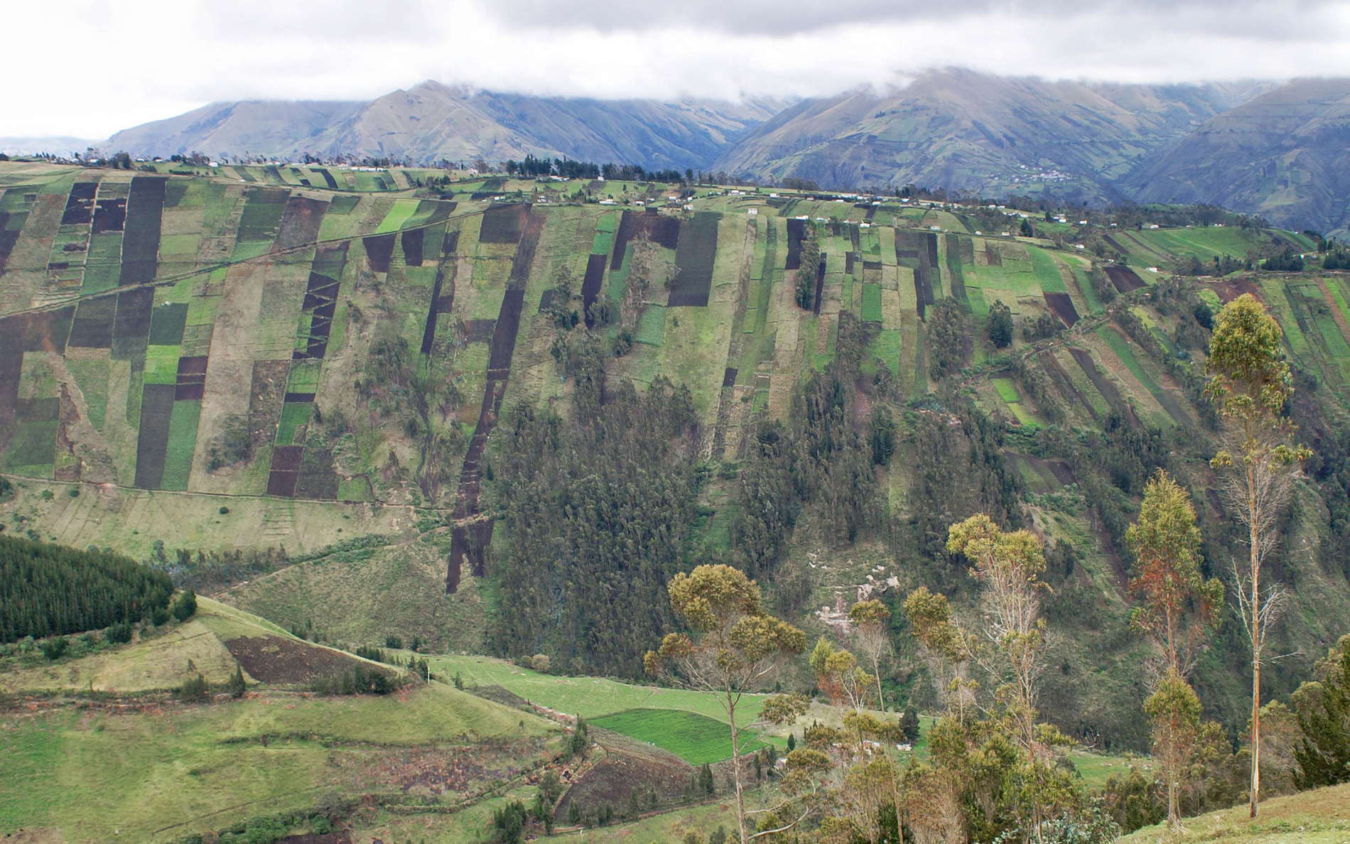 Ambato  |  Andean cultural landscape