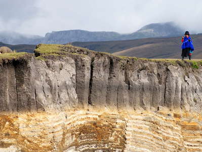 Páramo de Chimborazo  |  Peaty soil