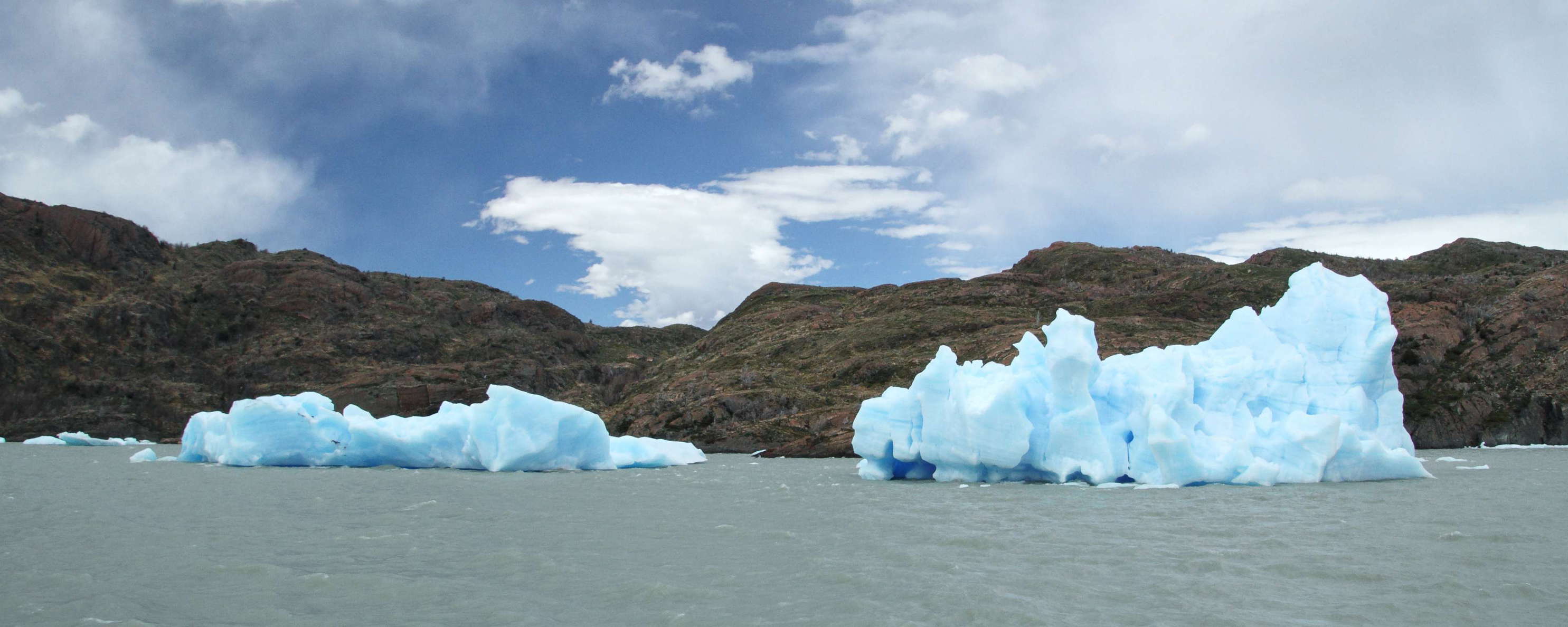 PN Torres del Paine | Lago Grey with icebergs