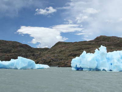 PN Torres del Paine  |  Lago Grey with icebergs