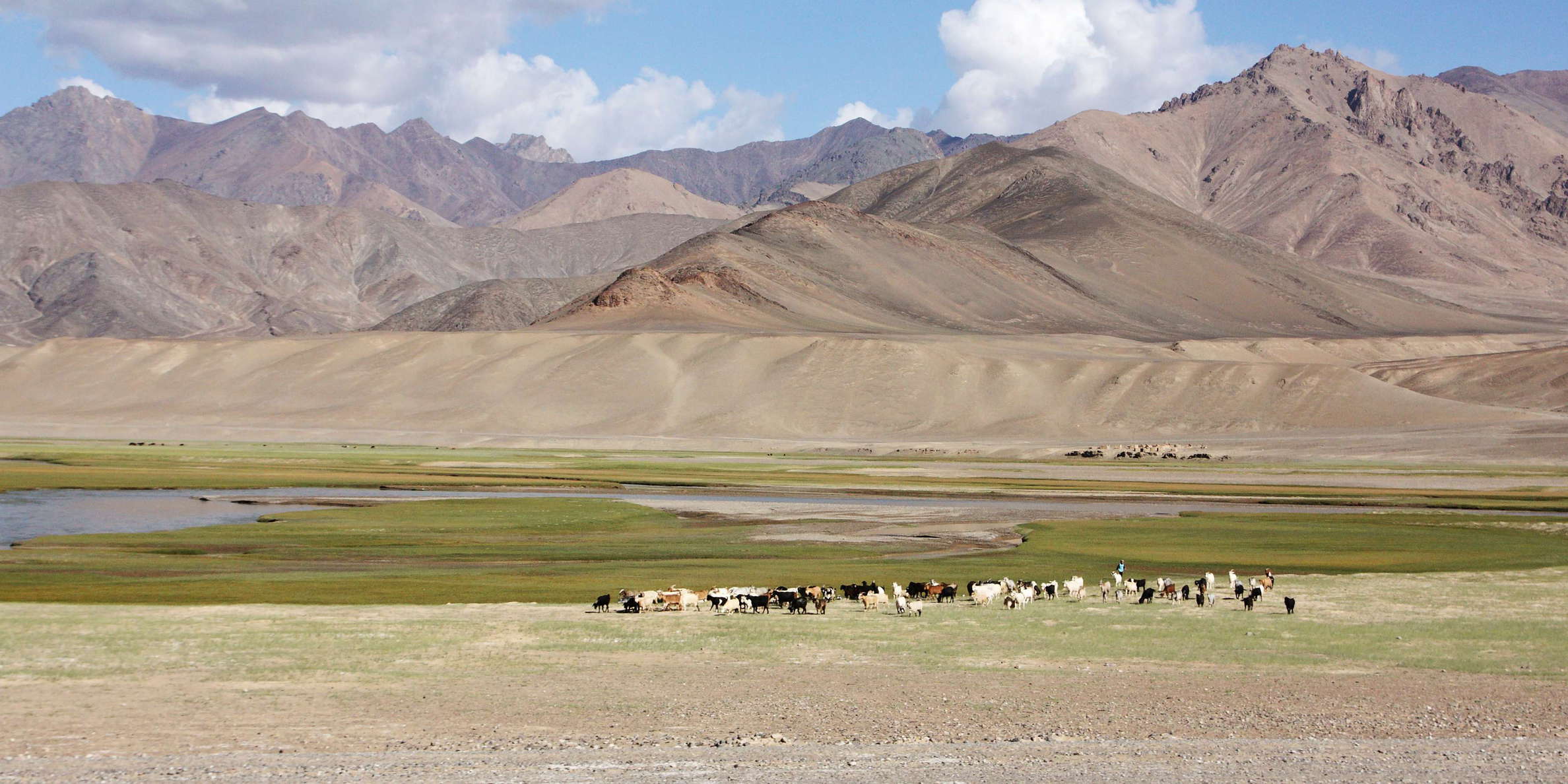 Murghab Valley with livestock