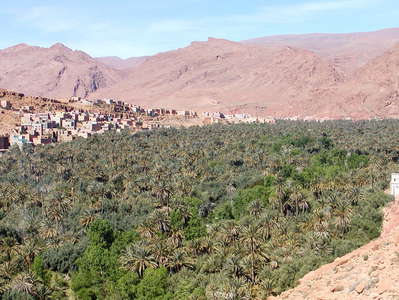 Tinghir  |  Wadi Todgha