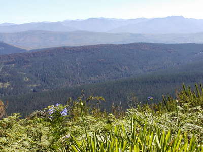 Outeniqua Mountains