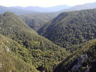 Bloukrans River gorge