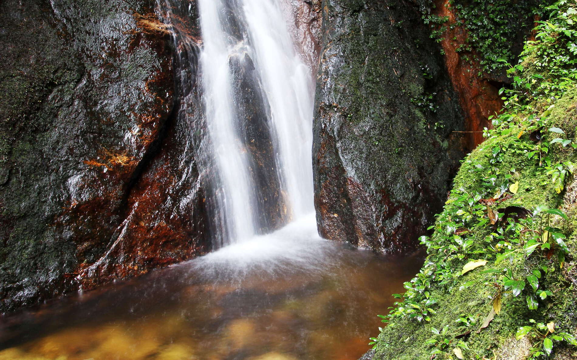 Kinabalu NP  |  Waterfall