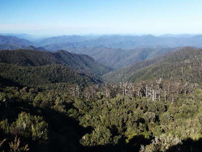 New England NP with Wright's Lookout