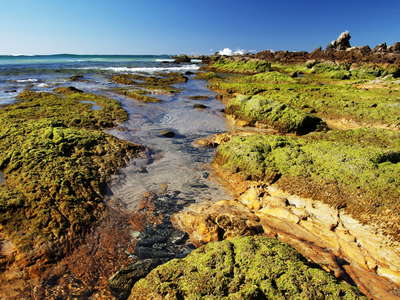 Byron Bay  |  Rocks at Little Watego's Beach