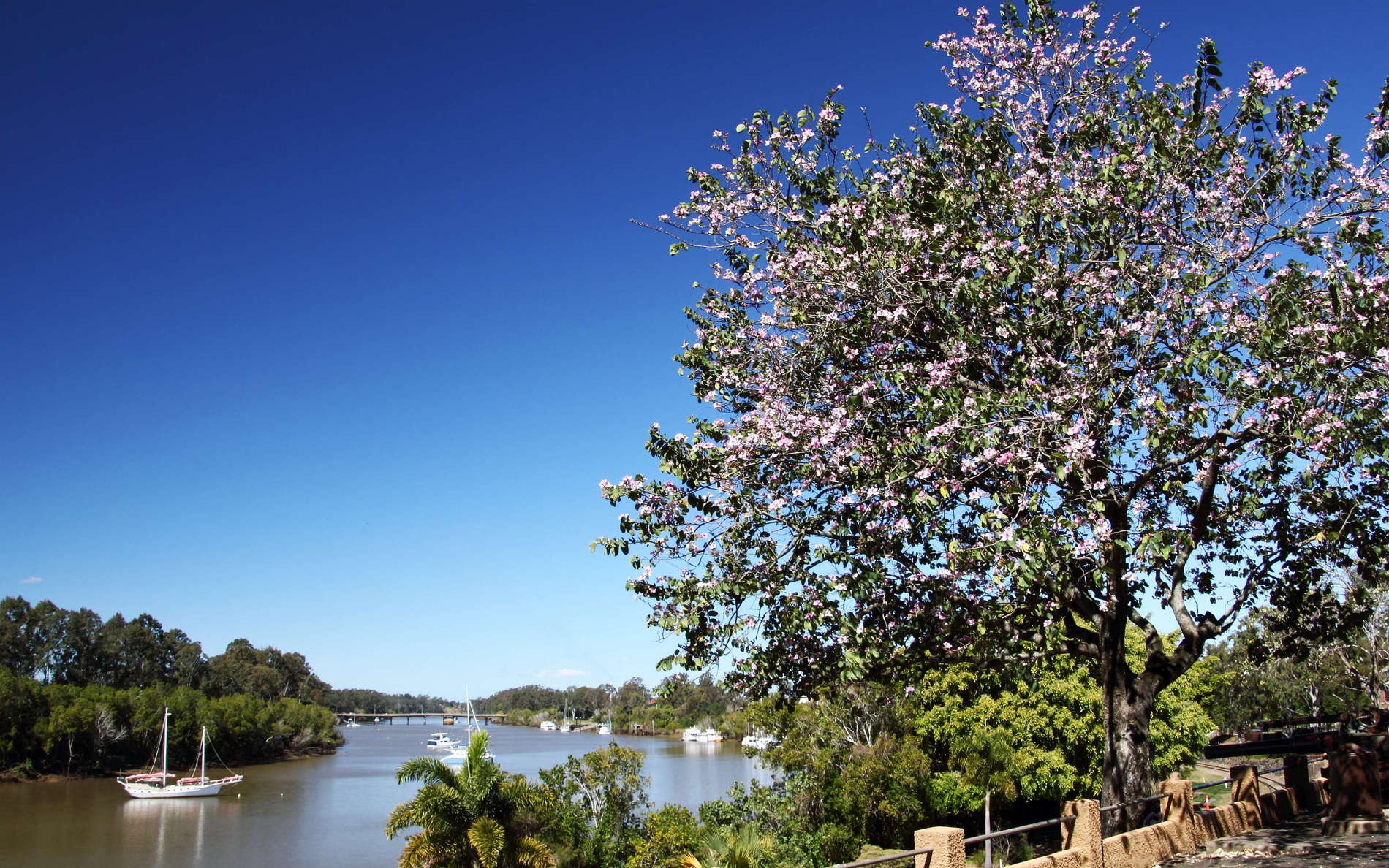 Maryborough  |  Queens Park and Mary River