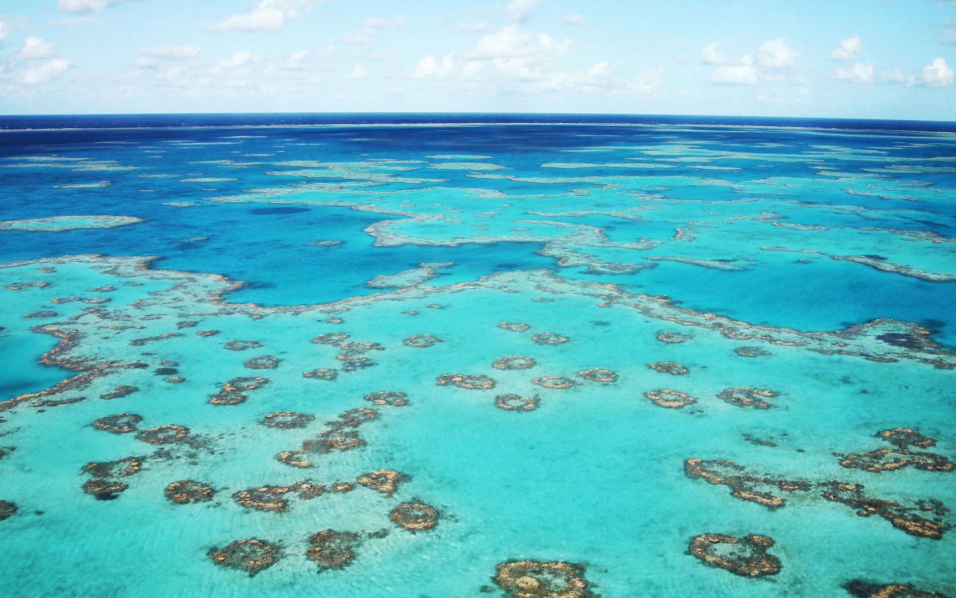 Great Barrier Reef  |  Hardy Reef