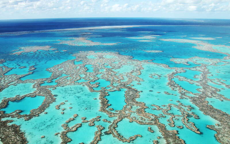 Great Barrier Reef  |  Hardy Reef