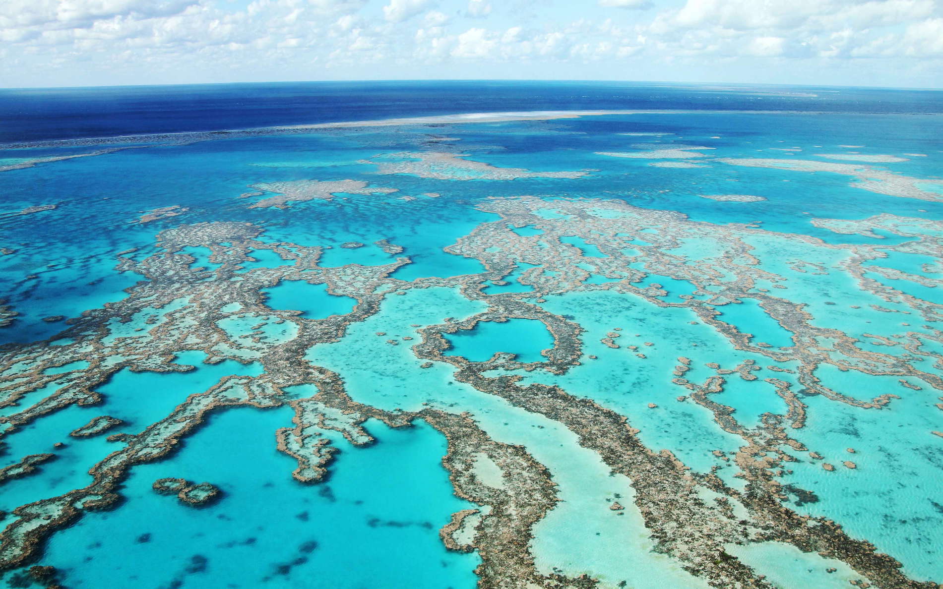 Great Barrier Reef  |  Hardy Reef