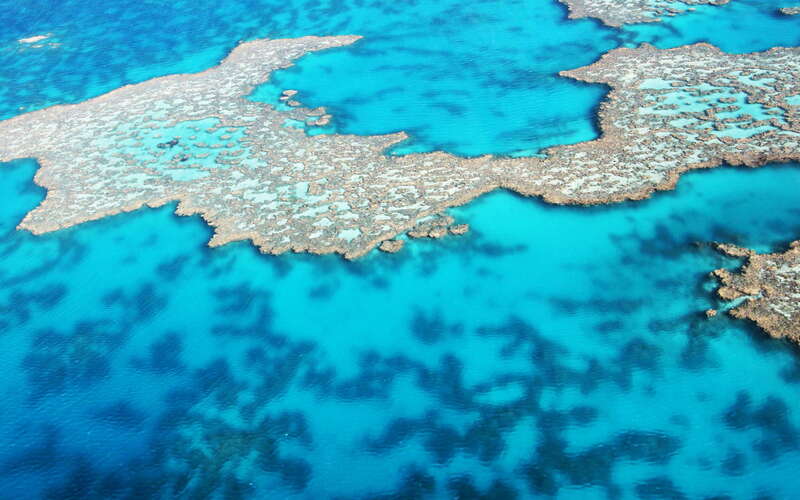 Great Barrier Reef  |  Hook Reef