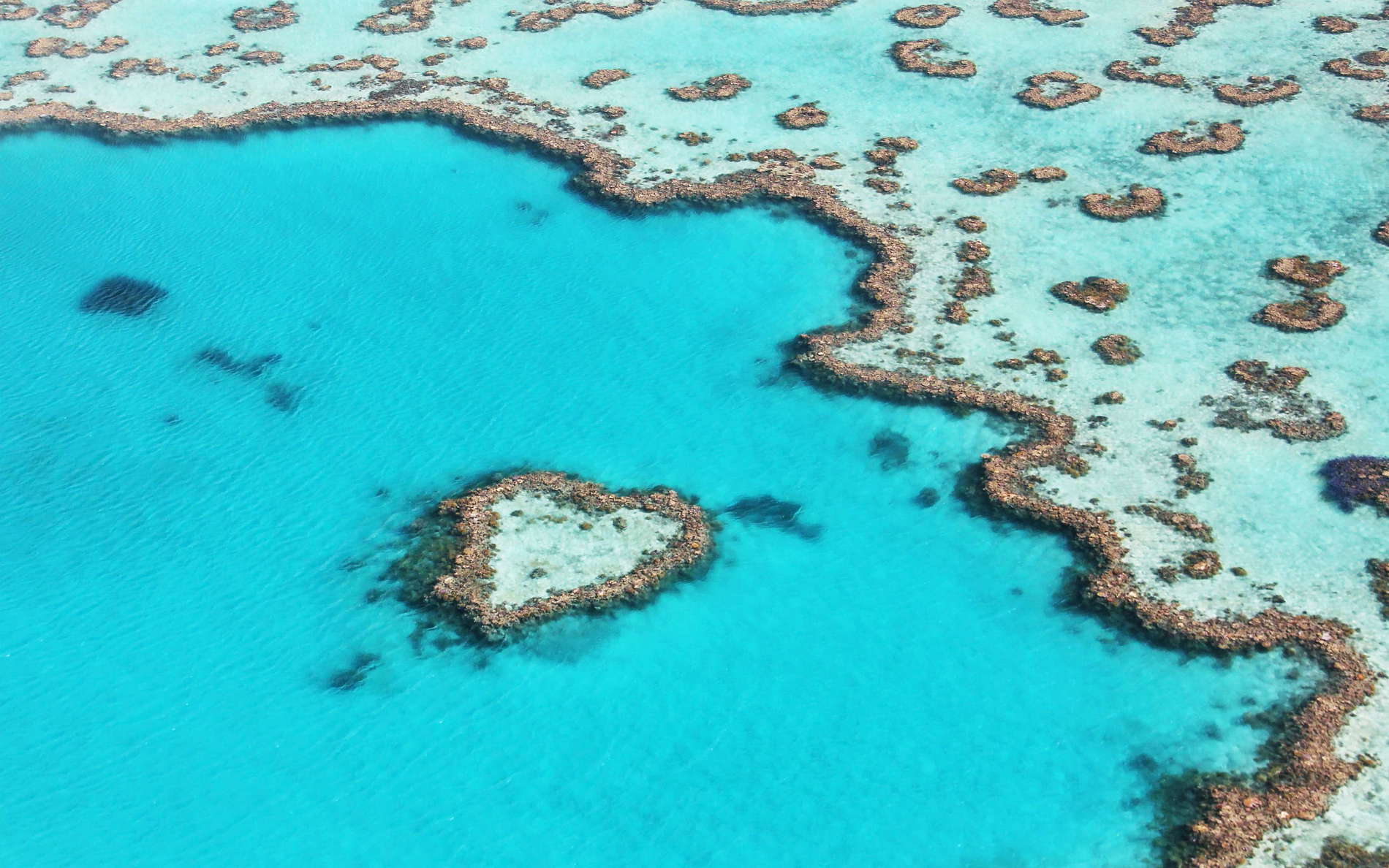 Great Barrier Reef  |  Heart Reef