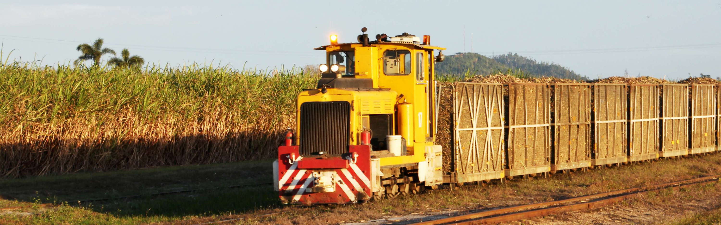 Innisfail  |  Sugar cane railway