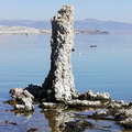 Mono Lake  |  Tufa column