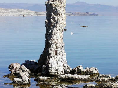 Mono Lake  |  Tufa column