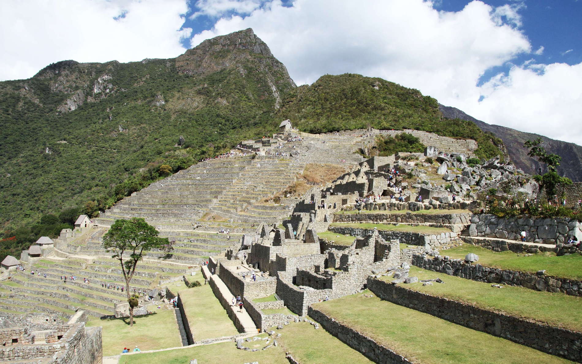 Machu Picchu | Terraces and Montaña Machu Picchu