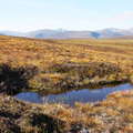 Cairngorms  |  Wetland with pond