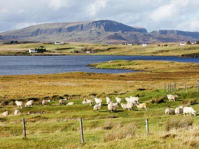 Isle of Skye  |  Loch Mealt