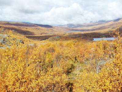 Helligskogen  |  Autumn landscape