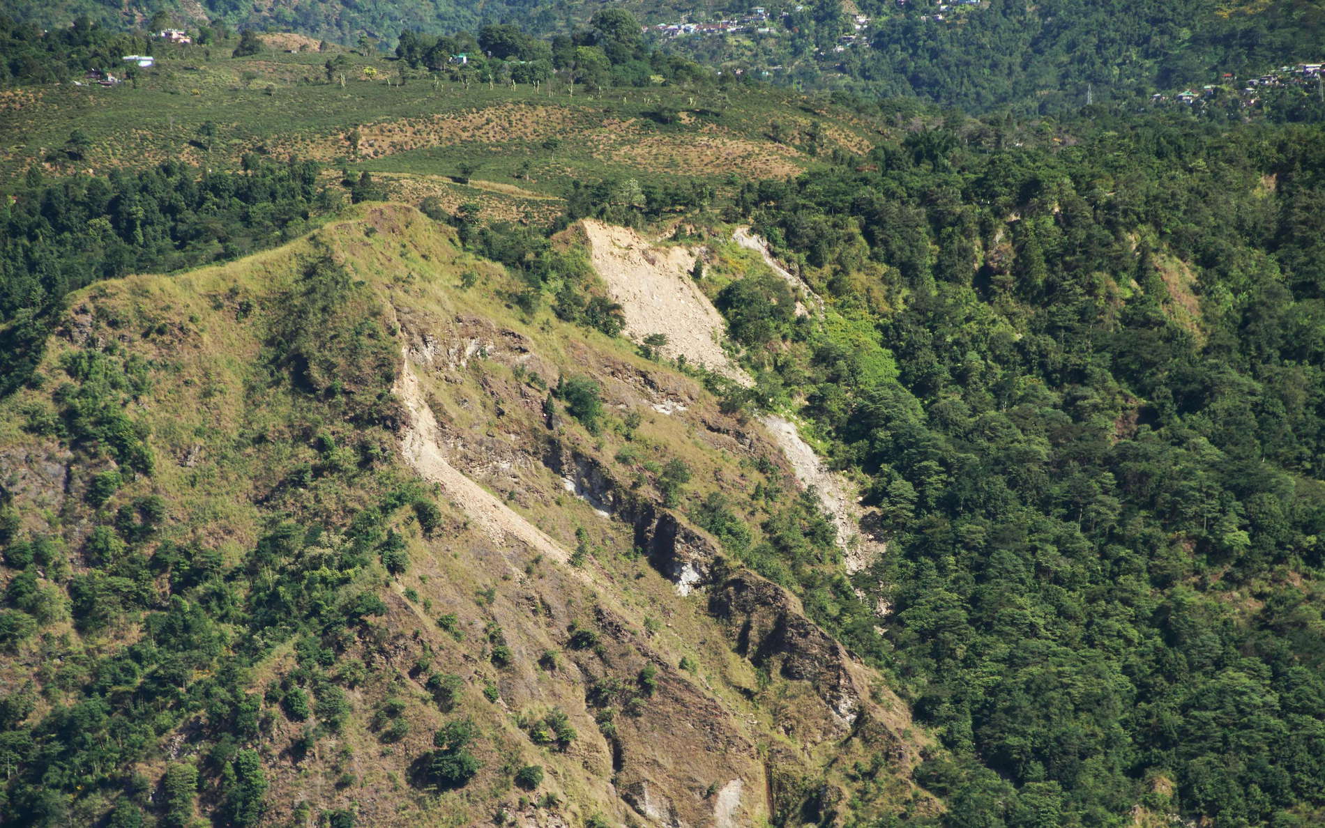 Balason Valley  |  Ambootia Landslide