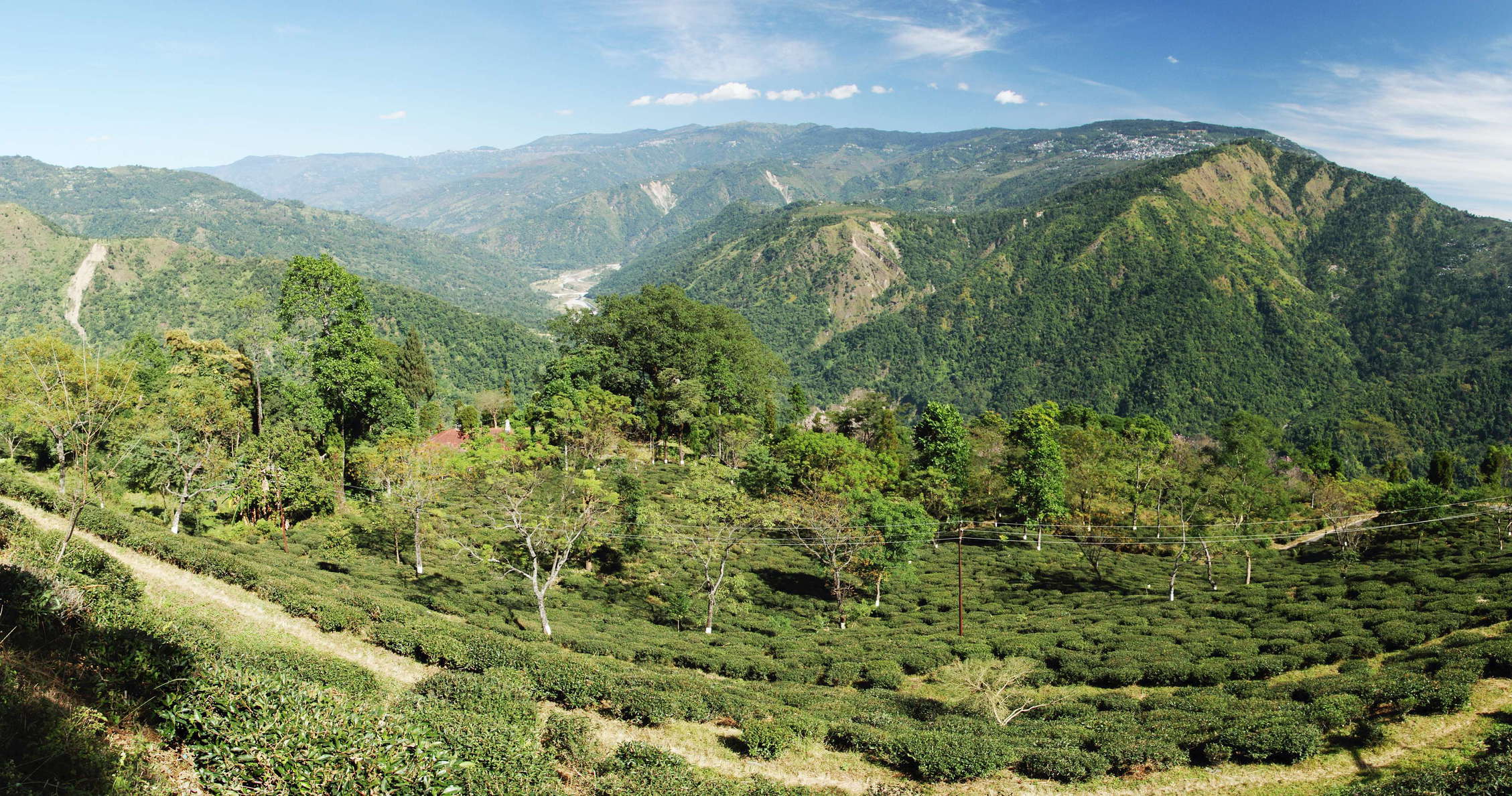 Balason Valley with Singbulli Tea Garden and landslides